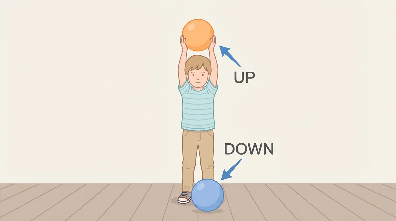 Child standing with one ball held over head and another ball on the floor, labeled up and down