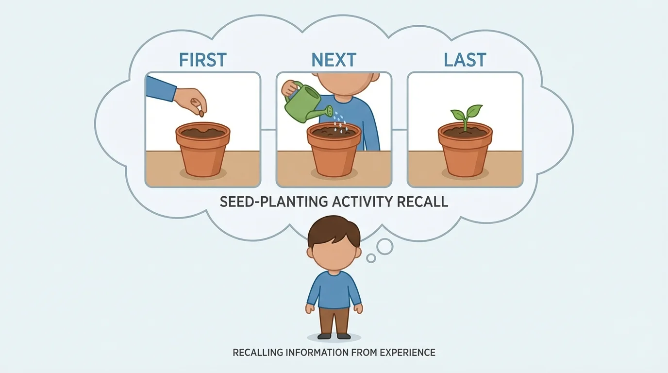 child recalling a seed-planting activity with three small scenes labeled first, next, last—putting seed in soil, watering, and seeing a sprout