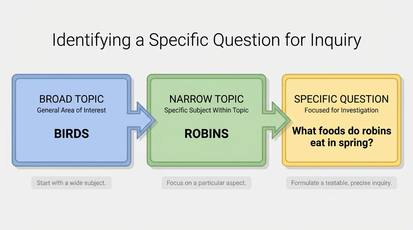 chart showing a broad topic 'birds' narrowed to a specific question 'What foods do robins eat in spring?' with arrows from broad to specific