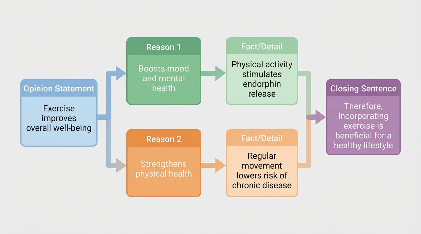 flowchart showing opinion statement leading to reason 1 with fact/detail, then reason 2 with fact/detail, ending in a closing sentence