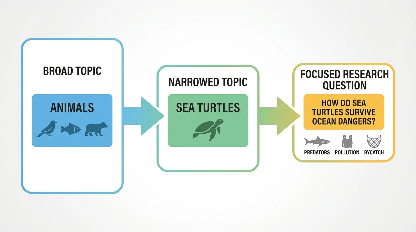 flowchart showing broad topic animals narrowed to sea turtles and then to a focused question about how sea turtles survive ocean dangers