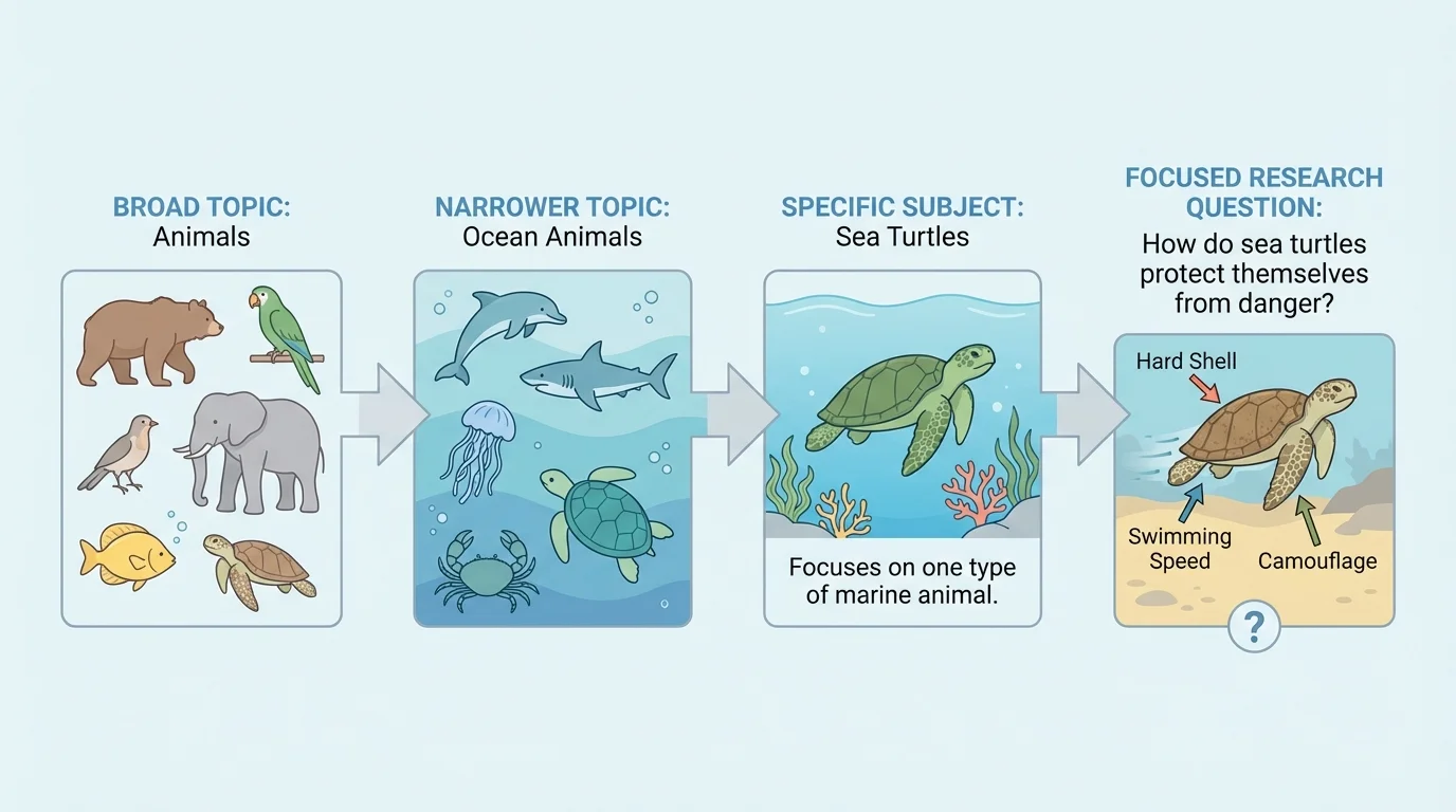 Topic narrowing from 'animals' to 'ocean animals' to 'sea turtles' to the focused question 'How do sea turtles protect themselves from danger?'