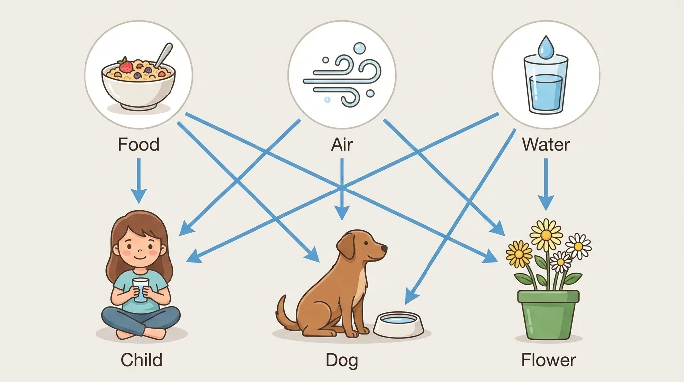 child, dog, and flower together with simple icons for food, air, and water around them