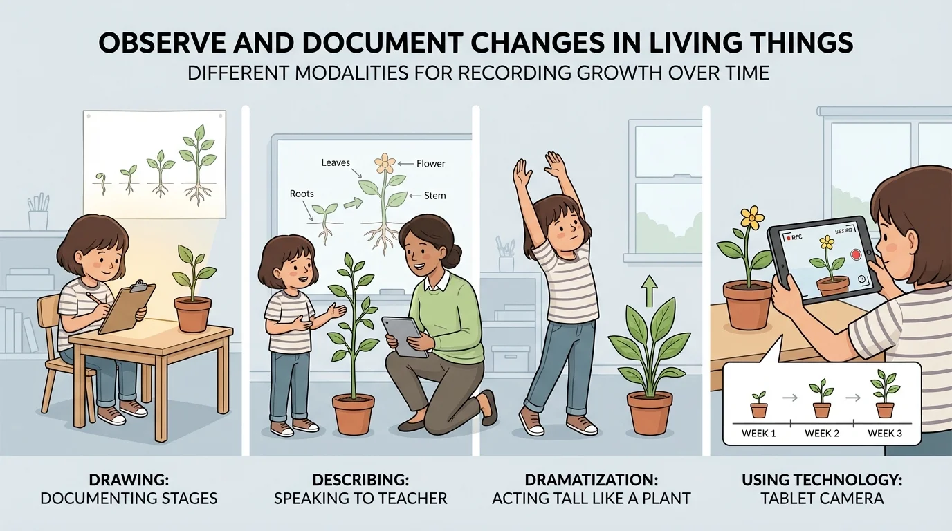 Child observing a plant by drawing, speaking to teacher, acting tall like a growing plant, and using a tablet camera