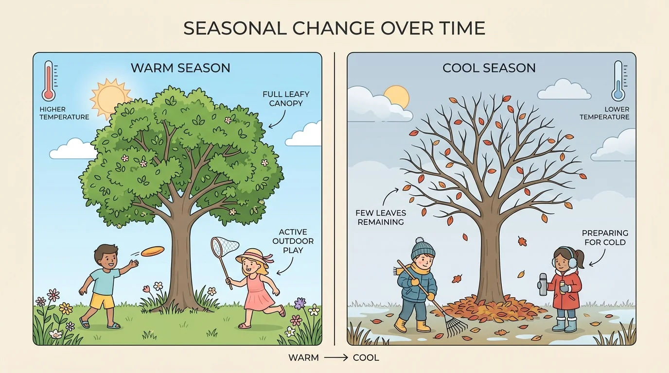 comparison of the same tree in a warm season with many green leaves and in a cool season with fewer leaves, with children wearing different clothes