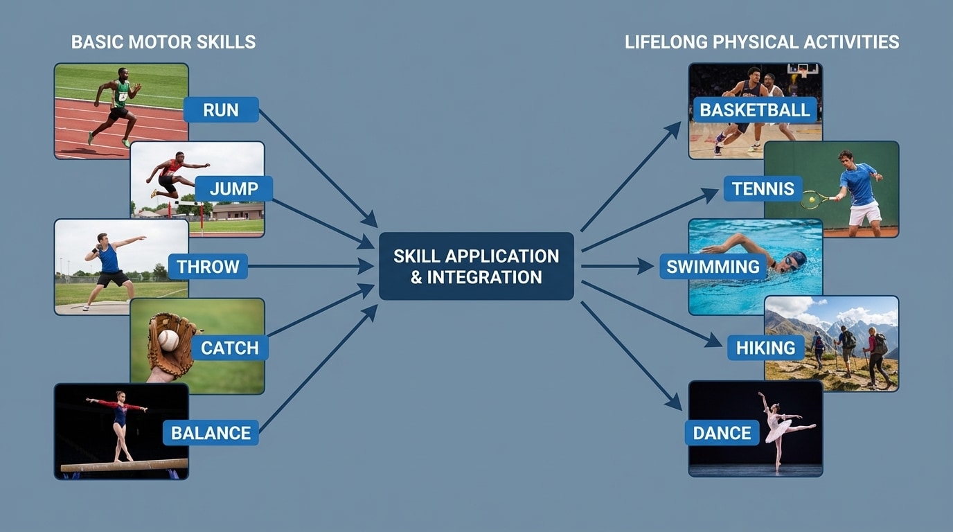 Flow diagram showing basic motor skills (run, jump, throw, catch, balance) feeding into more complex lifelong activities (basketball, tennis, swimming, hiking, dance)