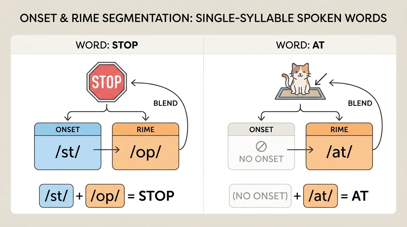 chart comparing stop split into /st/ and /op/ and at split into no onset and /at/