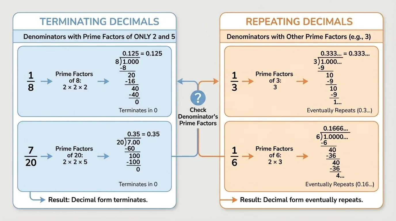 Comparison chart grouping simplified denominators 8 and 20 as terminating, and 3 and 6 as repeating, based on prime factors