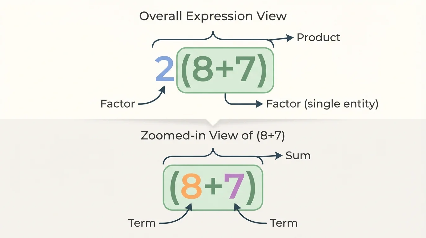labeled expression 2(8+7) shown in two views, one view marking factors 2 and (8+7), another zoomed view marking 8 and 7 as terms of the sum inside parentheses