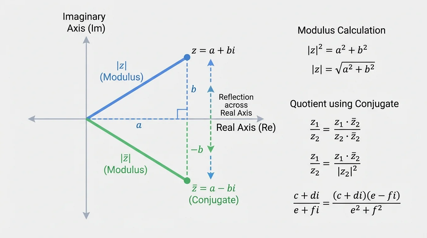 coordinate plane with point (a,b), horizontal leg a, vertical leg b, and segment from origin to the point labeled modulus