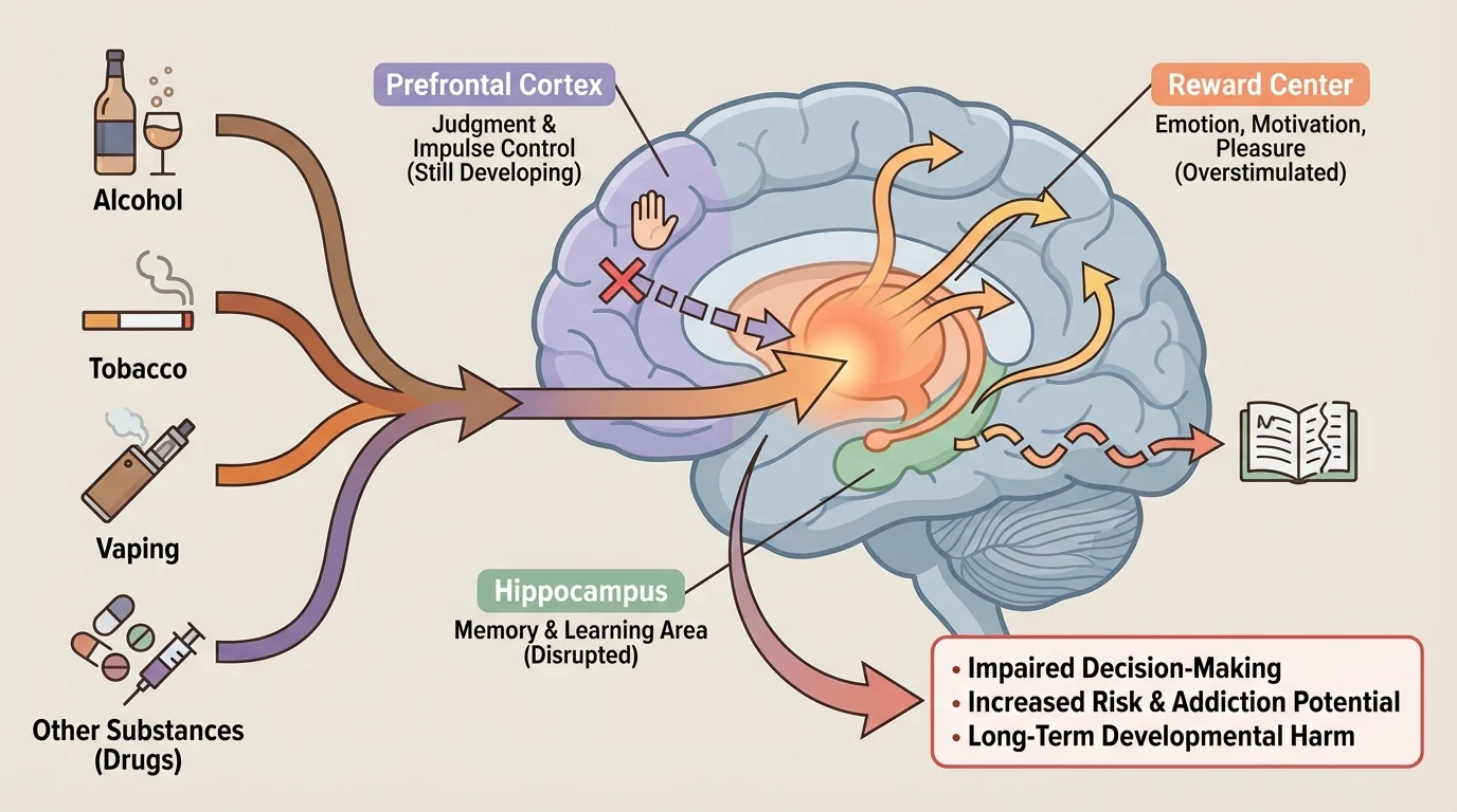 Labeled brain diagram highlighting reward center, memory area, and prefrontal cortex for judgment and impulse control