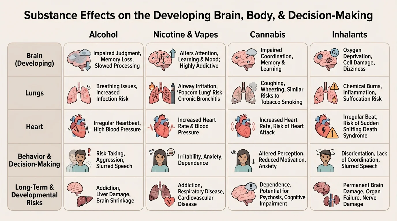 Comparison chart showing major short-term and long-term effects of alcohol, nicotine/vapes, cannabis, and inhalants on brain, lungs, heart, and behavior