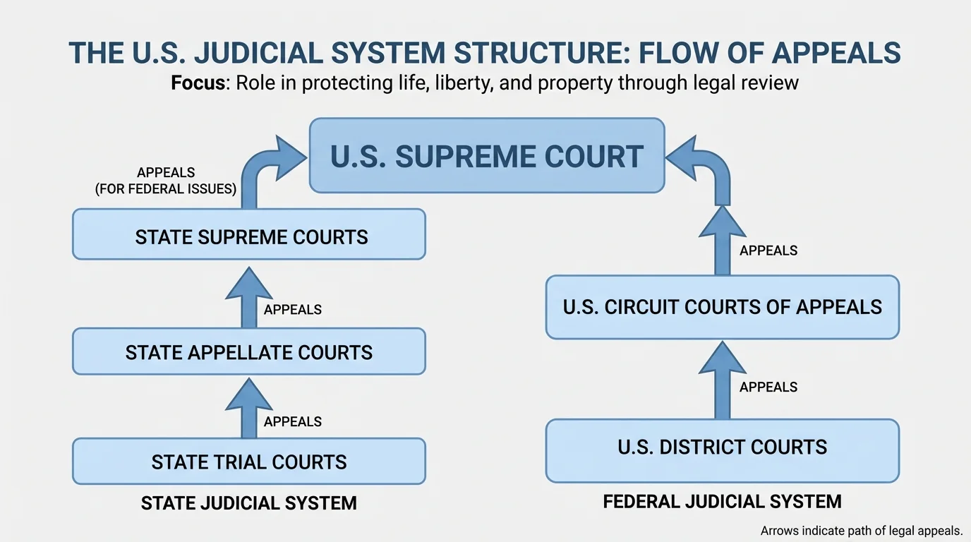 flowchart of the U.S. judicial structure showing state trial courts to state appellate courts to state supreme courts, and federal district courts to circuit courts to the U.S. Supreme Court, with arrows indicating appeals