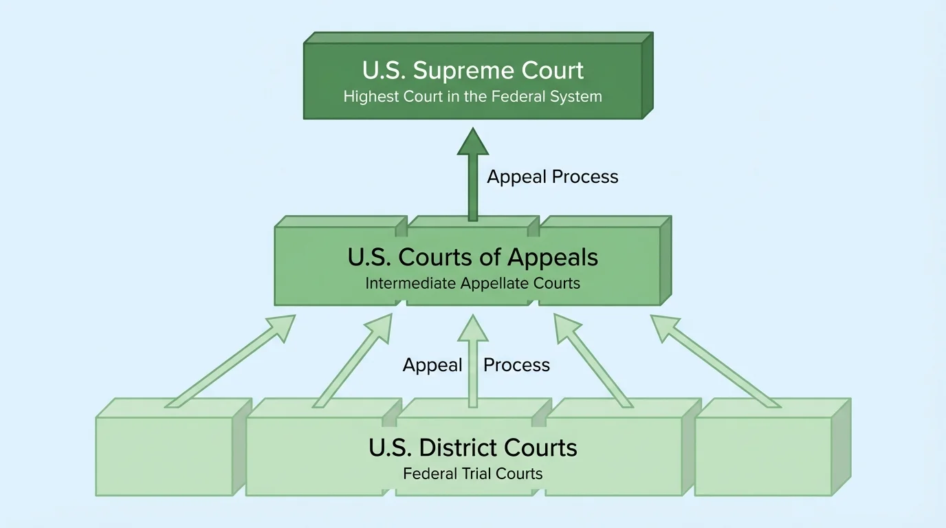 Federal court hierarchy showing U.S. District Courts at the bottom, U.S. Courts of Appeals in the middle, and the U.S. Supreme Court at the top, with arrows showing the path of appeals