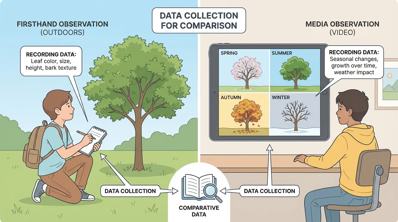 child looking at a tree outdoors next to child watching a video of the same tree through the seasons
