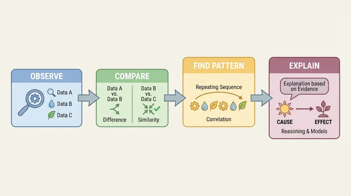 simple flowchart with boxes labeled observe, compare, find pattern, explain