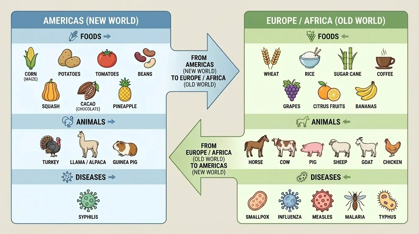 Two-column chart of Columbian Exchange showing foods, animals, and diseases moving between the Americas and Europe/Africa