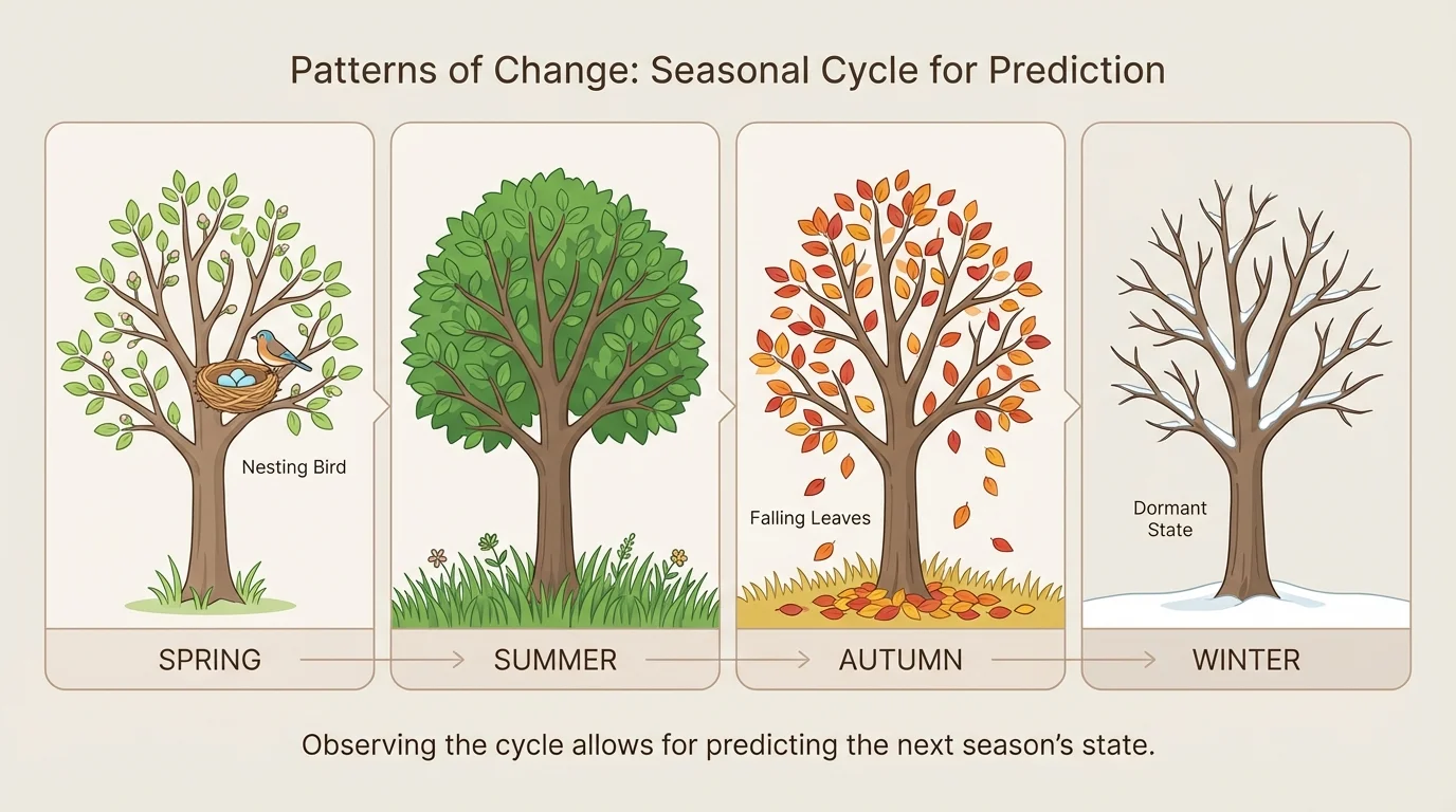 one tree shown in four seasons with a bird nesting in spring, full leaves in summer, falling leaves in autumn, and bare branches in winter