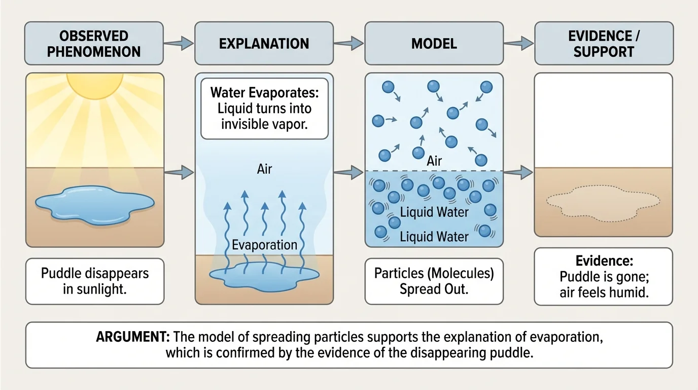 Flowchart showing a puddle disappearing in sunlight, the explanation that water evaporates, and a model using particles spreading into air